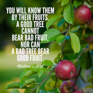 Bible gateway you shall know a tree by its fruit